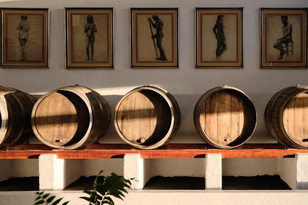 Ecofinca Aulaga Масдаче Экстерьер фото
